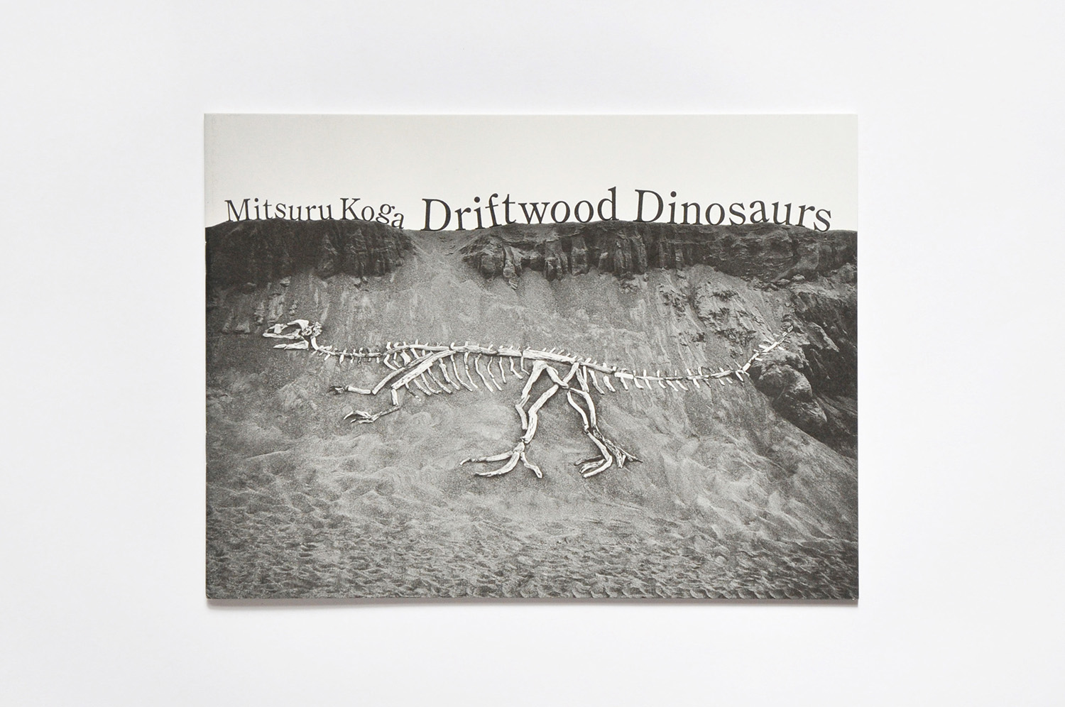 Driftwood Dinosaurs