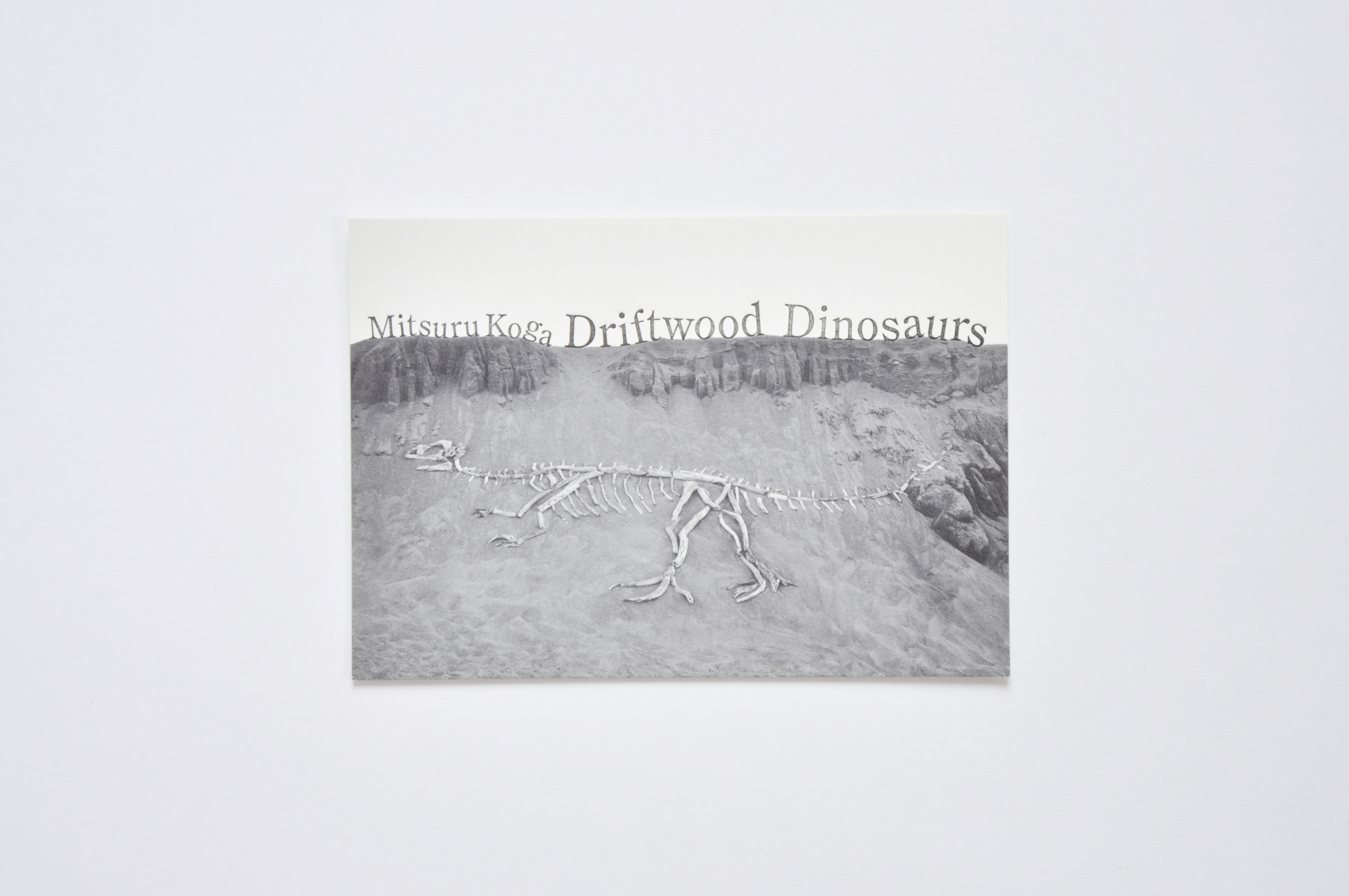 Driftwood Dinosaurs Exhibition