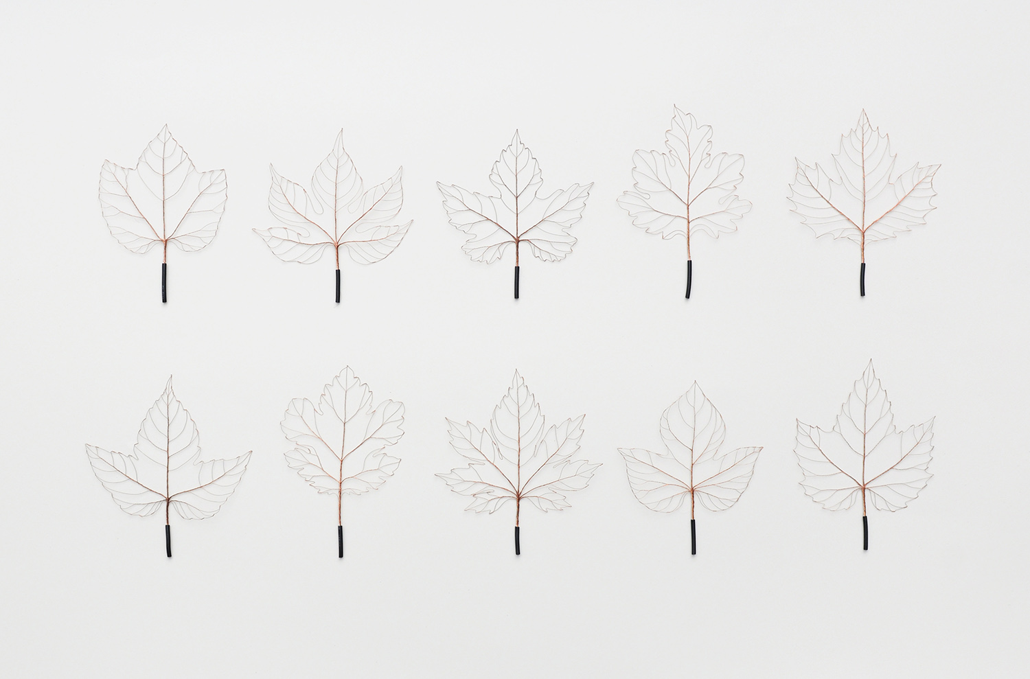 BRANCHING / WIRE LEAF