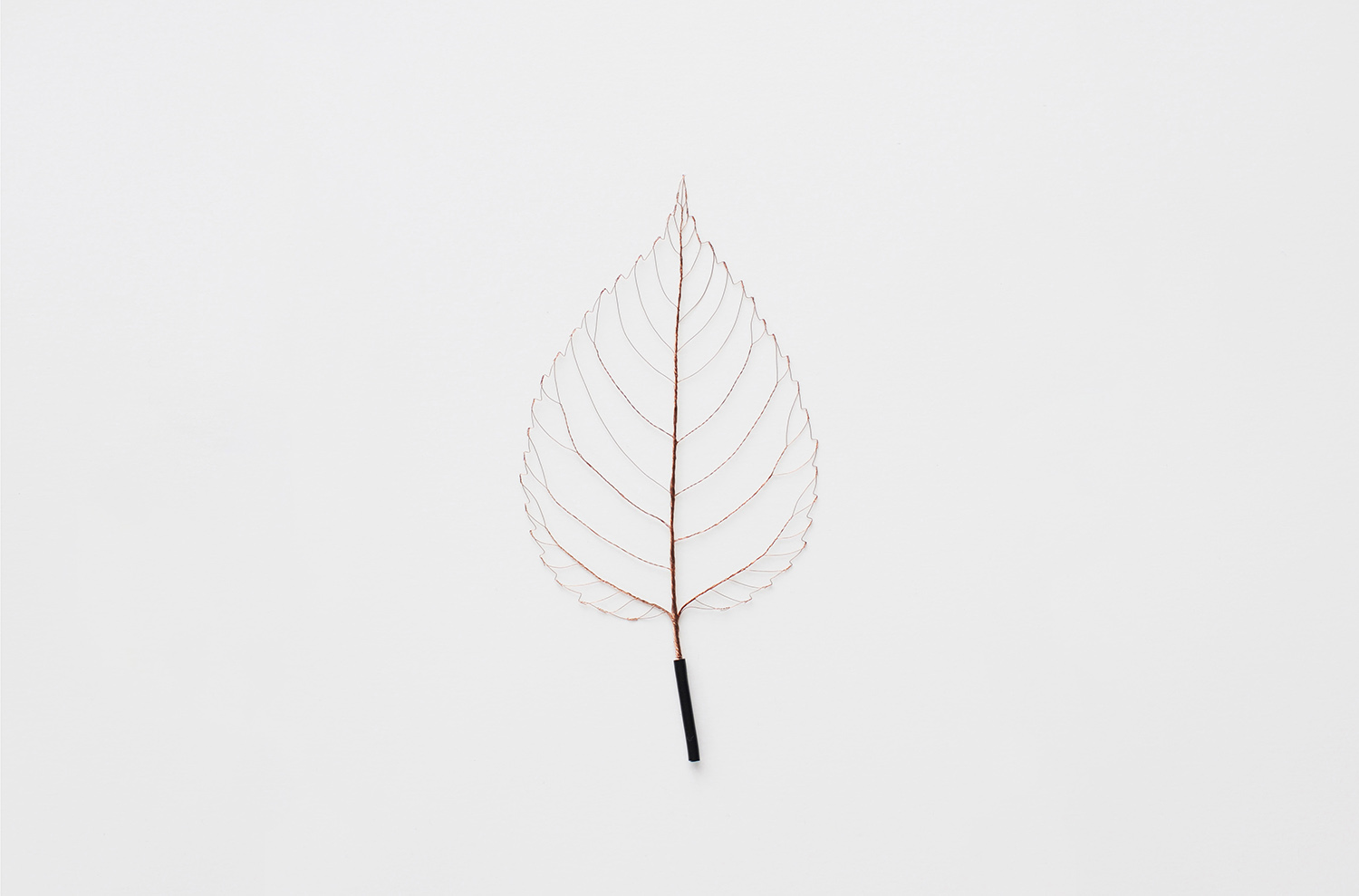 BRANCHING / WIRE LEAF