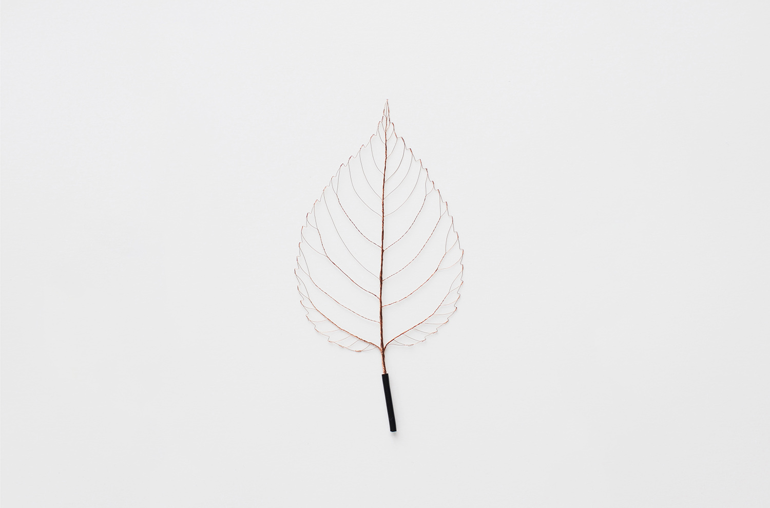 BRANCHING / WIRE LEAF