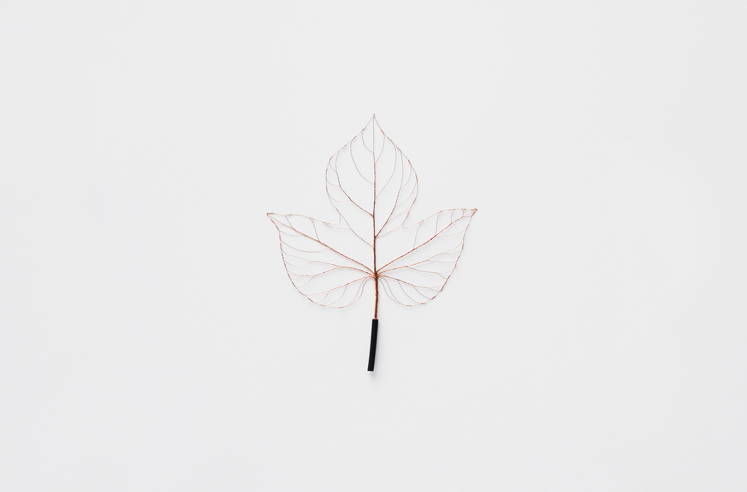 BRANCHING / WIRE LEAF