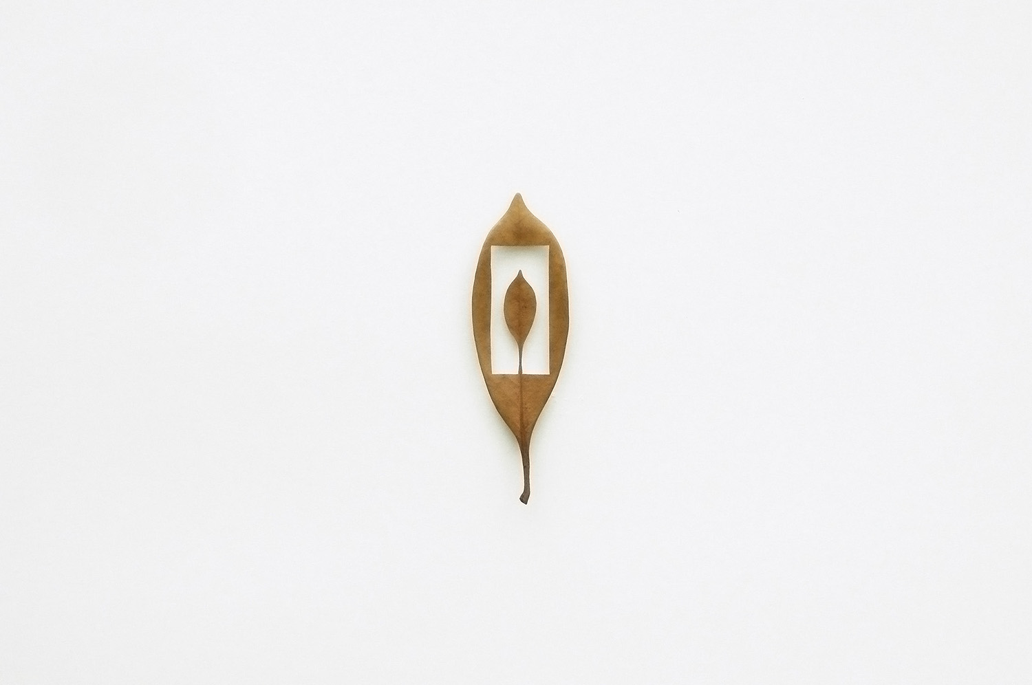 LEAF CUTOUTS