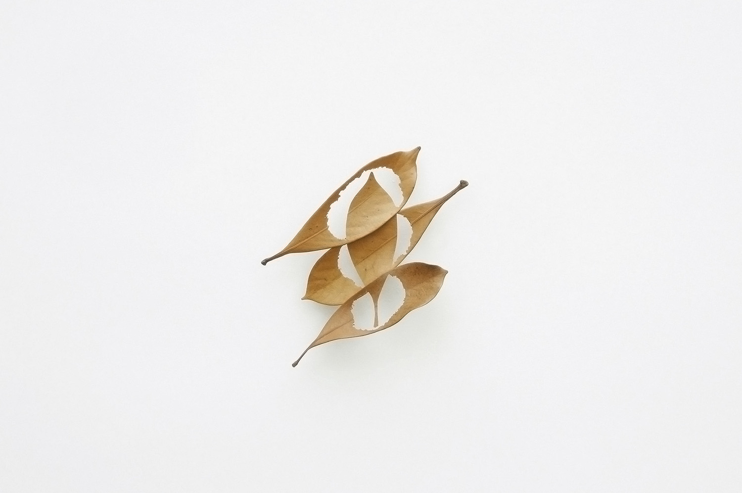 LEAF CUTOUTS
