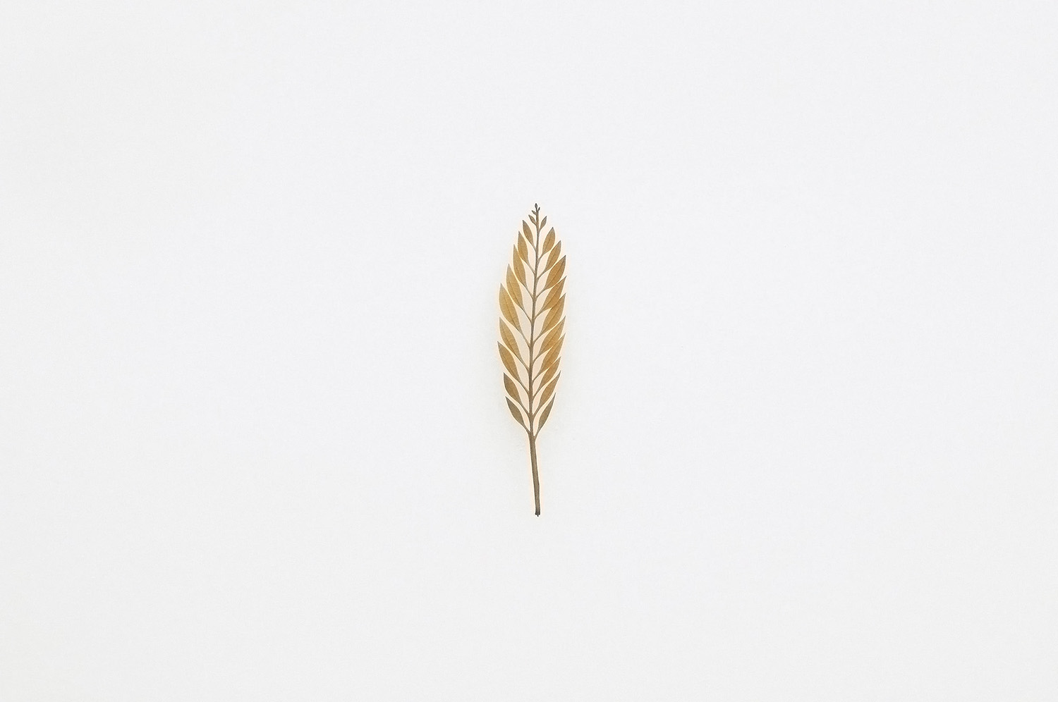 LEAF CUTOUTS