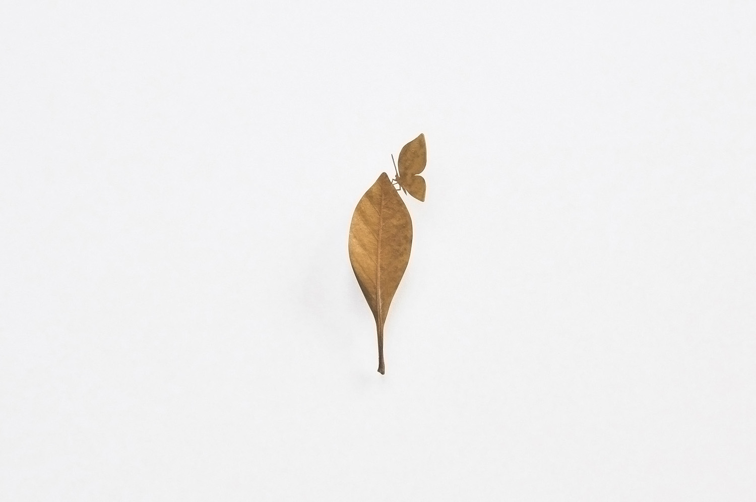 LEAF CUTOUTS