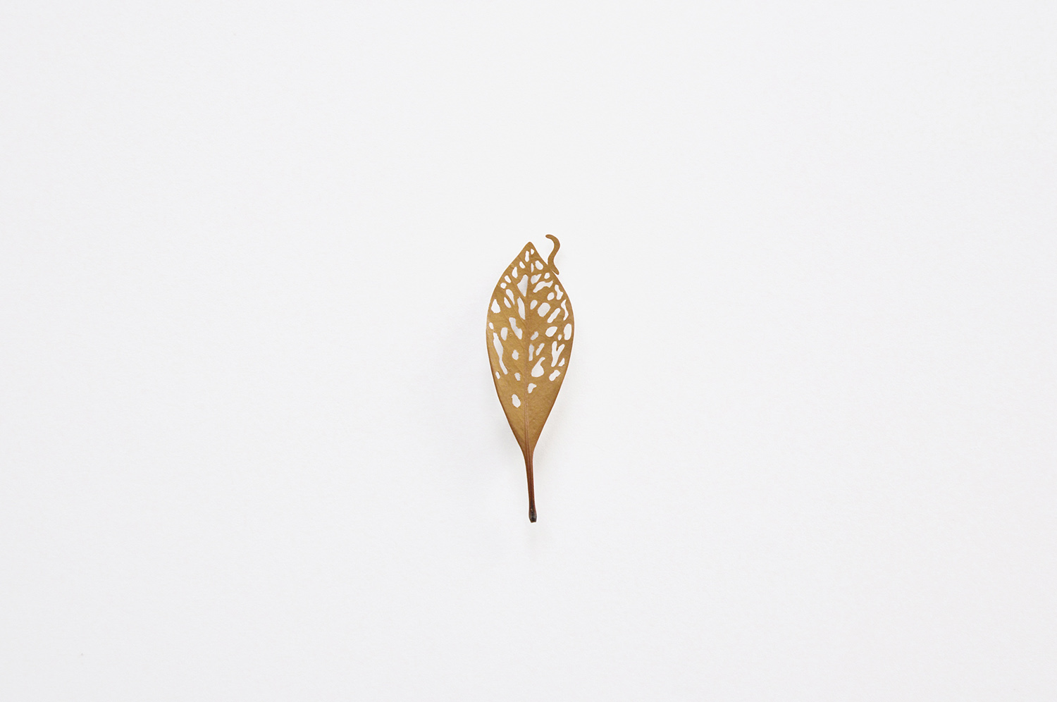 LEAF CUTOUTS